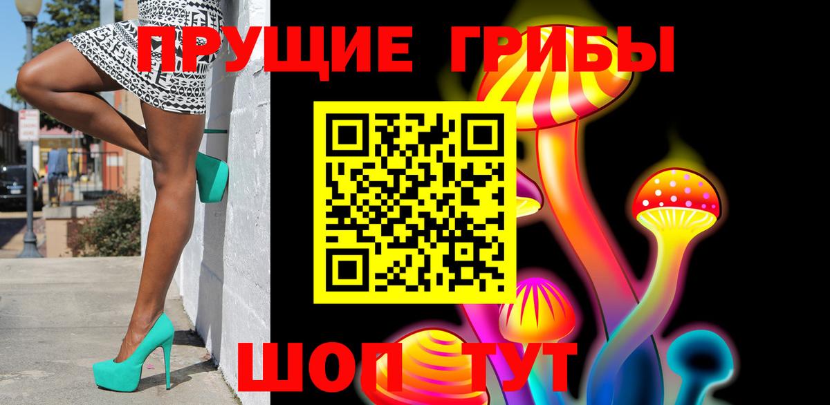 Псилоцибиновые грибы Psilocybine cubensis  Вход с VPN  Шебекино 