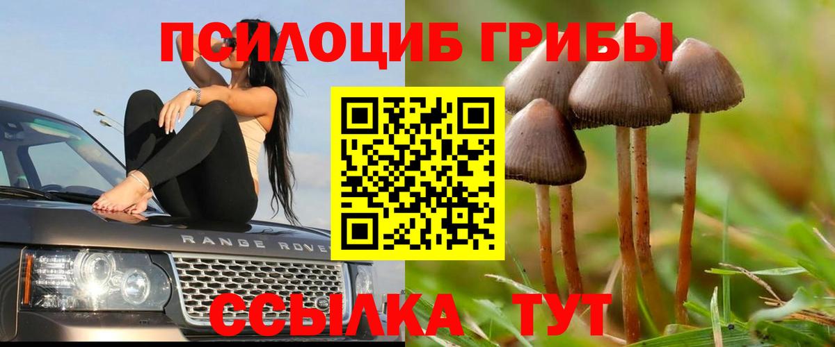 Галлюциногенные грибы ЛСД Шебекино